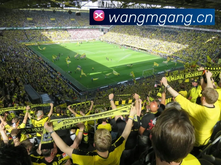 多媒体互动体验